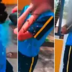 motoboy resgata menina atacada por enxame de abelhas