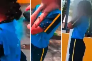 motoboy resgata menina atacada por enxame de abelhas