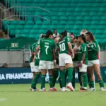 palmeiras feminino
