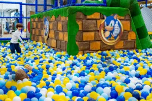 parque do sonic no shopping tambore