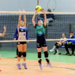 peneira volei barueri