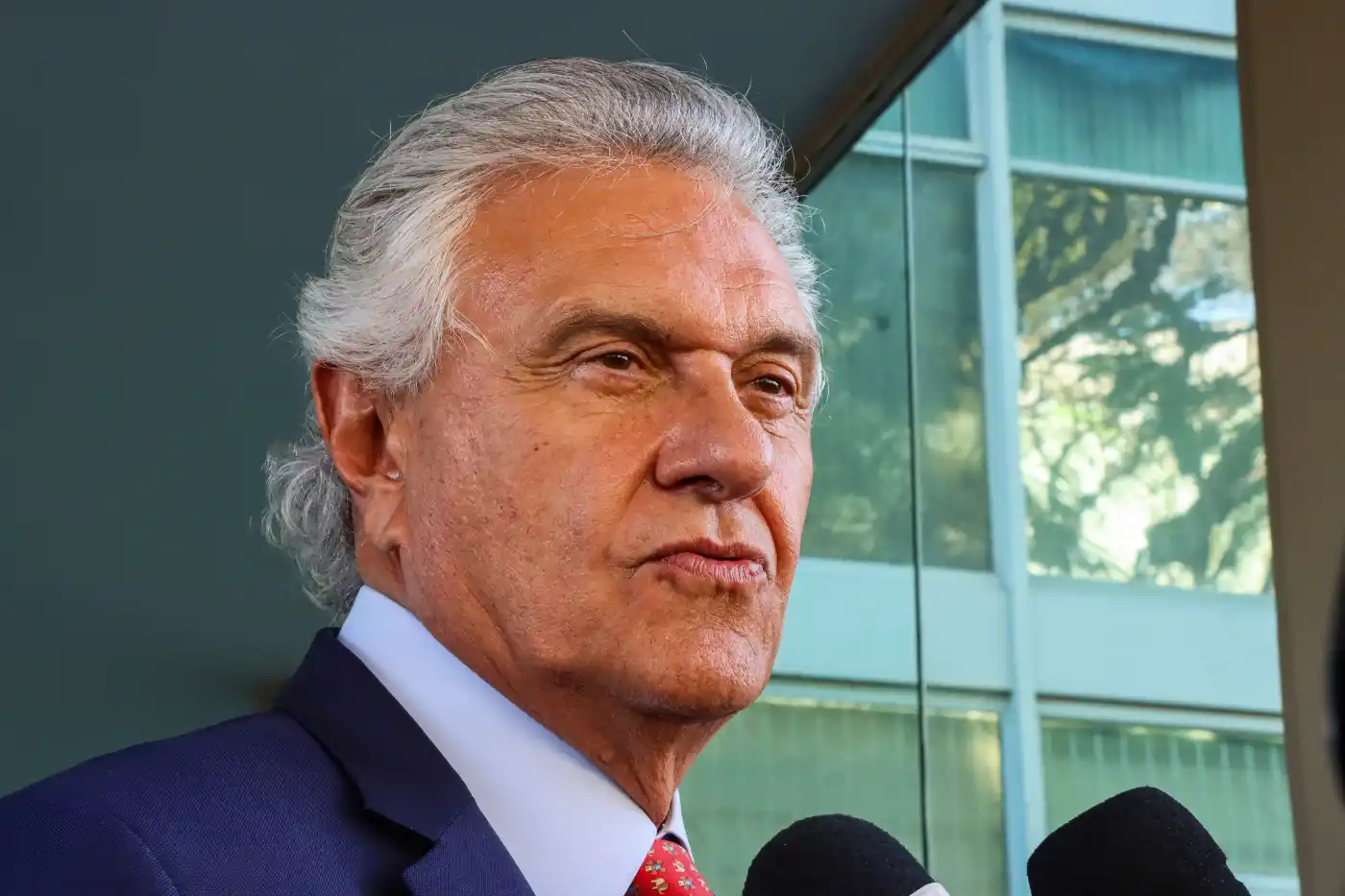 ronaldo caiado