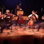 camerata cordas barueri