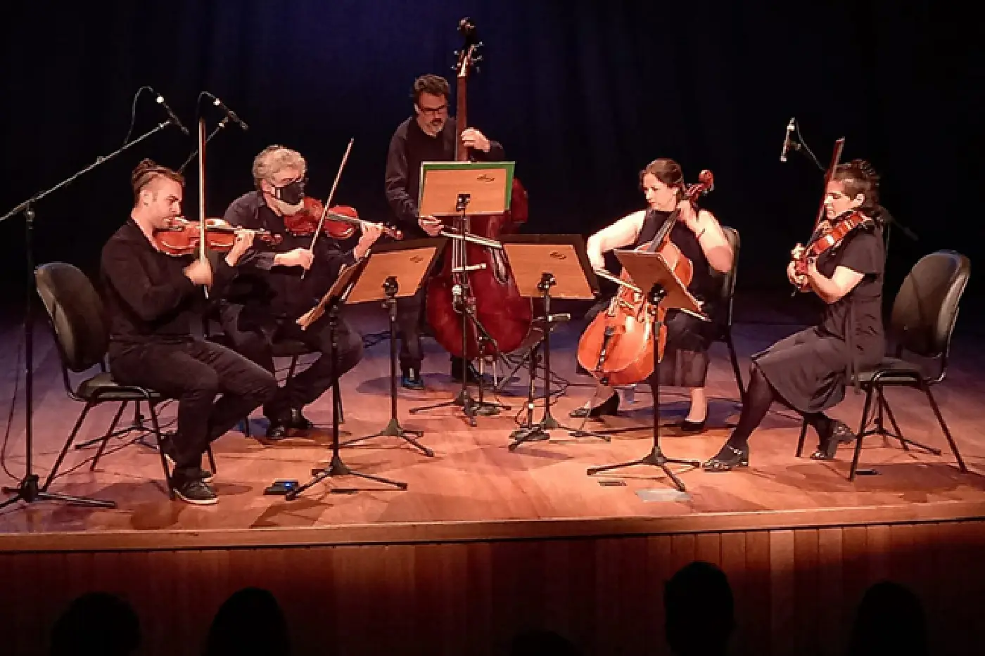 camerata cordas barueri