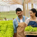 curso gestão atividade rural