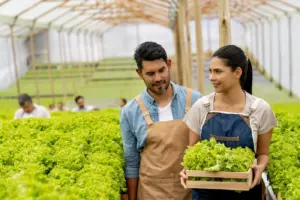 curso gestão atividade rural