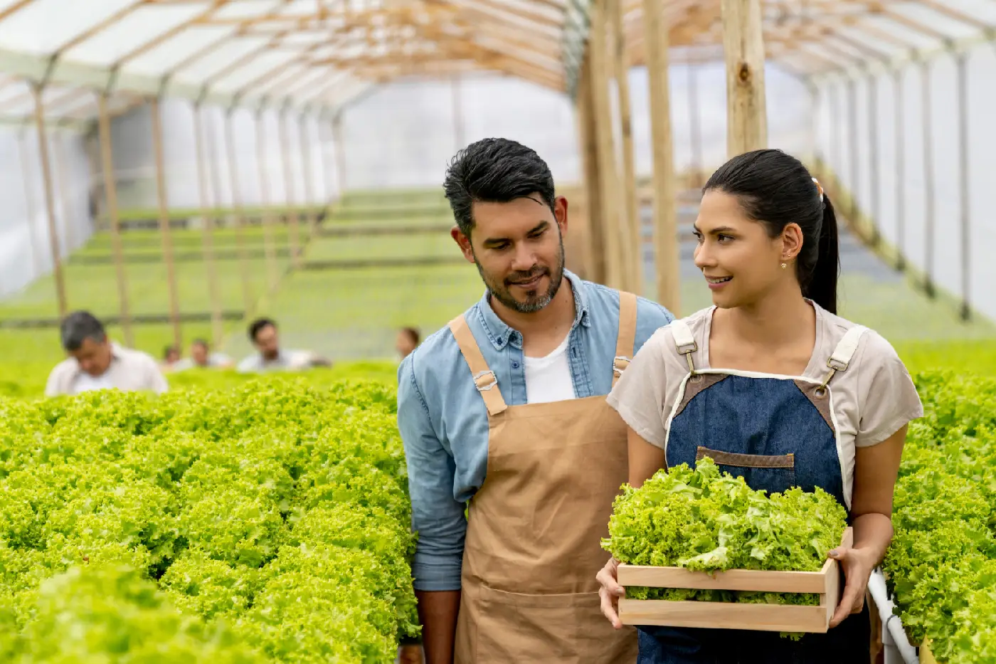curso gestão atividade rural