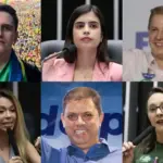deputados federais eleitos