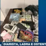 diarista investigada por furtos alphaville