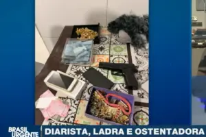 diarista investigada por furtos alphaville