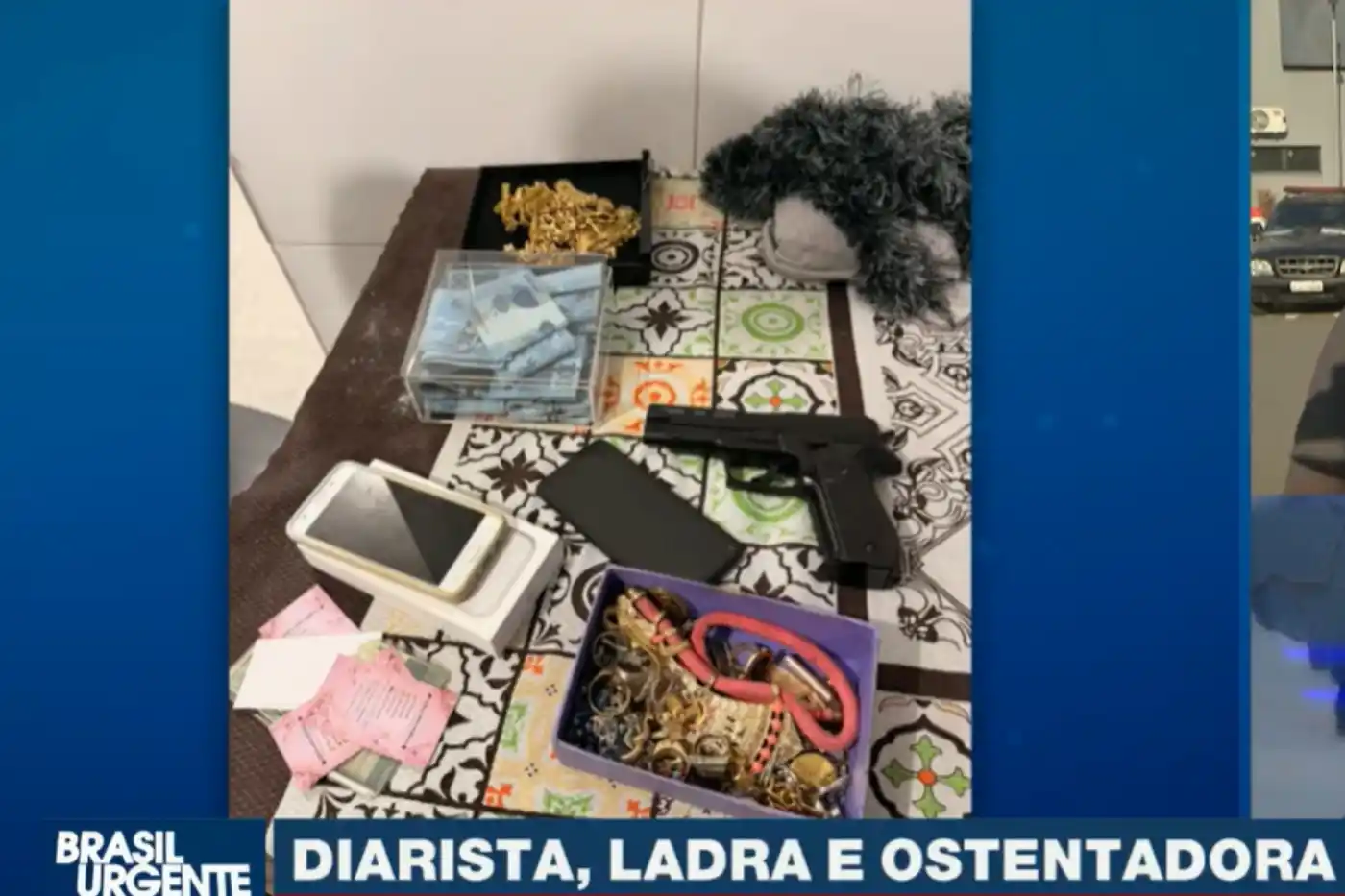 diarista investigada por furtos alphaville