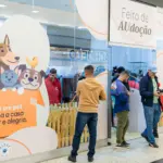 feira de adocao de caes e gatos taboao da serra shopping