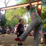 ninhos sesc no parque