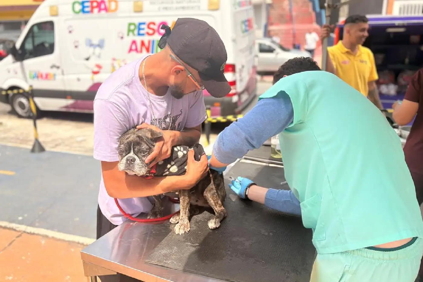 saúde animal barueri